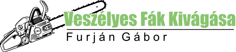 Veszélyes Fák kivágása - Furján Gábor 